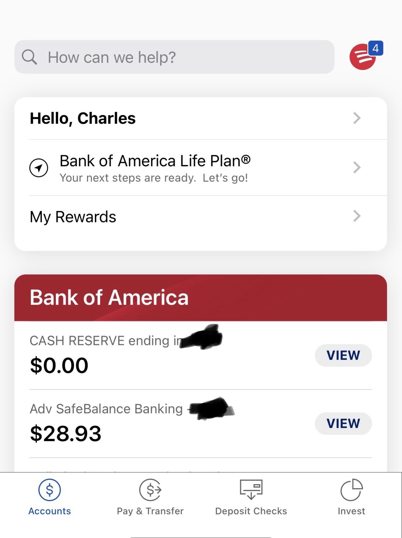 $28.93 in the bank account